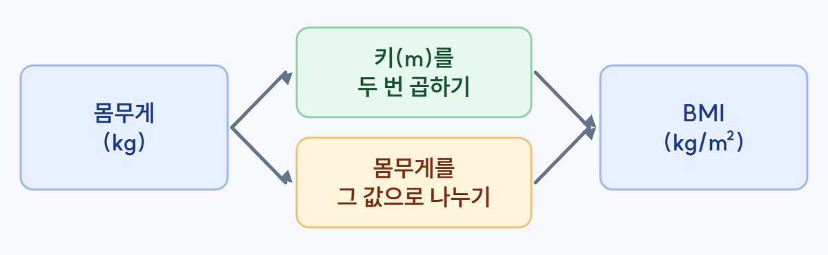 BMI 계산 과정